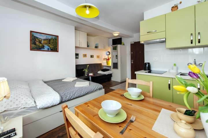 Cosy Studio Apartment Kraków Zewnętrze zdjęcie